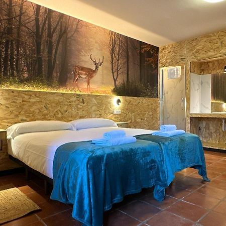 Hotel Y Albergue Real Fabrica De Ezcaray Ngoại thất bức ảnh